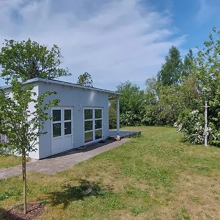 Brombeere Mit Grossem Garten Und Balkon * Graal-Mueritz