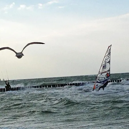 Brombeere Mit Grossem Garten Und Balkon *