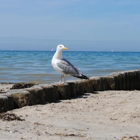 Brombeere Mit Grossem Garten Und Balkon 公寓