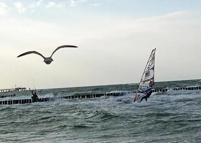 Brombeere Mit Grossem Garten Und Balkon *