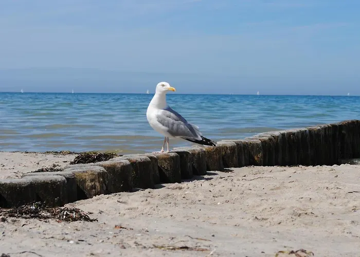 Brombeere Mit Grossem Garten Und Balkon 公寓